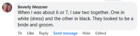 A miracle story was shared with me in May 2026.